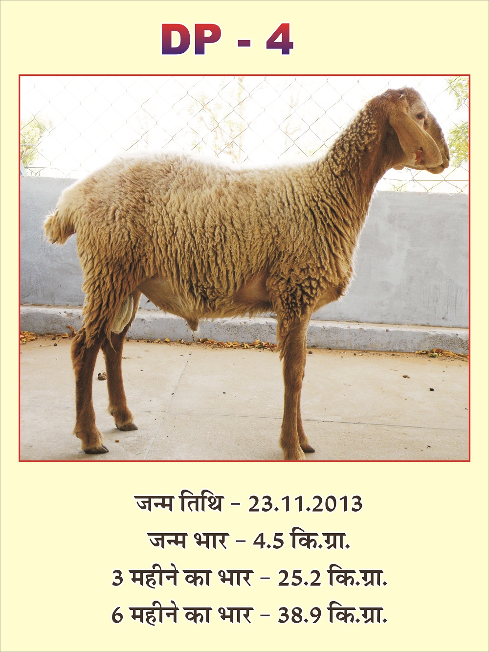 Central Sheep and Wool Research Institute, Avikanagar Central Sheep and Wool Research Institute, Avikanagar